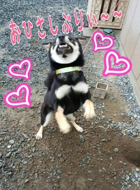 新しい家族　前編 2015/10/02 23:05:45