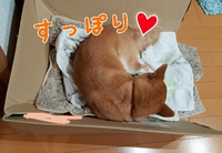 安心感 2015/11/23 23:01:53