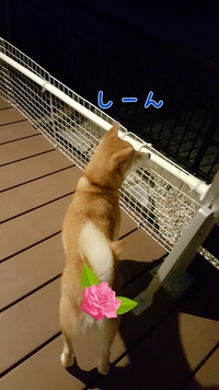 コノタンの仕事 2015/11/05 22:43:47