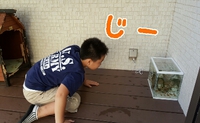新しい家族　後編 2015/10/04 01:38:36
