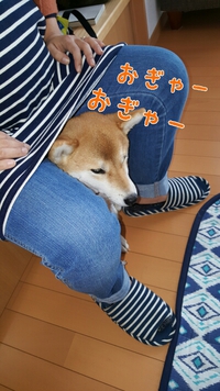 コノタンの吉日？厄日？ 2015/11/13 23:51:38
