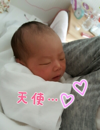 フレッシュ！ 2016/01/21 19:44:44