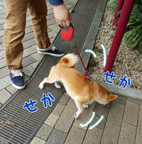 なんて日だっっ 2015/09/27 22:51:27