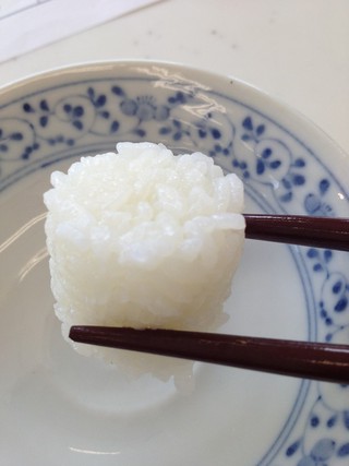 ガス炊飯器