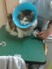 初めての♡ 2013/06/24 23:36:00