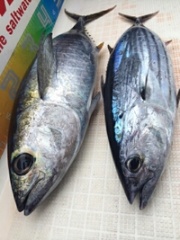 やったね♪ 2014/09/20 19:04:49