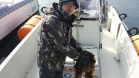 なんでもありだね！ 2015/02/15 13:03:13