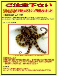 これは？ 2015/07/21 20:46:34