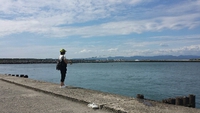 陸っぱりん 2014/08/31 18:35:57