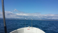 いい天気～ 2015/03/08 14:42:04