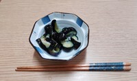 浅漬け! 2023/06/18 18:38:35