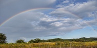 Morning　Rainbow! 2023/08/02 18:51:40