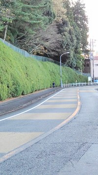 ダッシュ! 2023/12/17 16:58:59