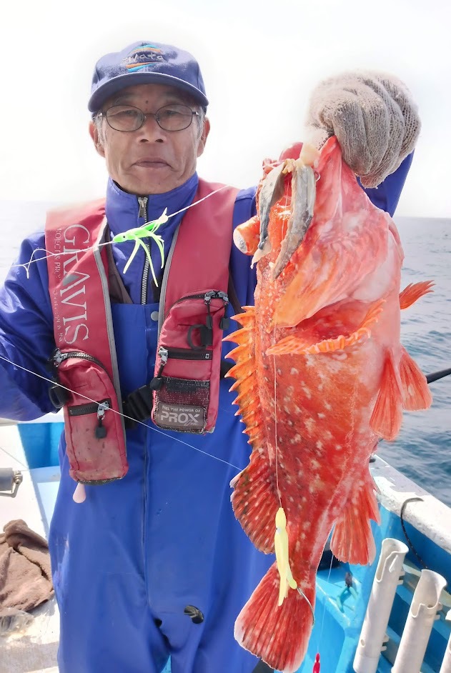 4/14鬼カサゴ釣り果