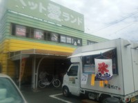 今日は、ワンワンの日なので、ペ… 2014/08/11 12:39:02