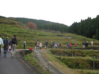 棚田を歩こう開催しました 2012/11/24 17:08:20