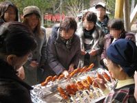 徳島県から 2013/02/22 16:39:22