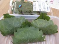 出ました！！ 2013/04/14 15:14:58