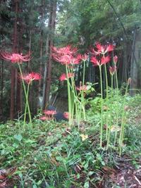 涼しくなりましたね 2012/09/25 10:38:55