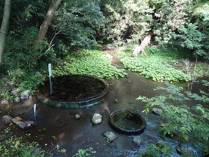 湧水☆