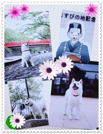 イベント。。