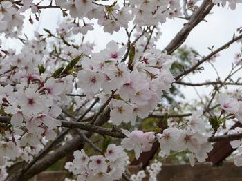 西の谷公園へ♪