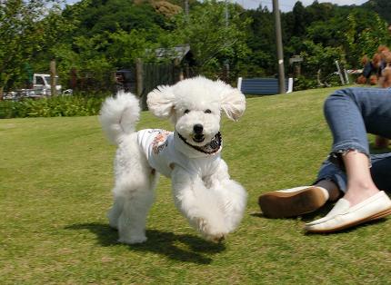 今週のプープーマンデー♪