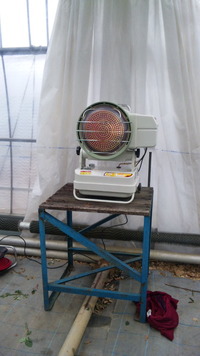 ＣＯ2がキター！！ 2010/02/12 14:04:50