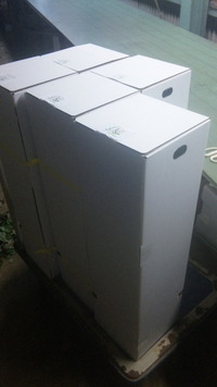 穂木芽〜 2011/02/08 08:17:49