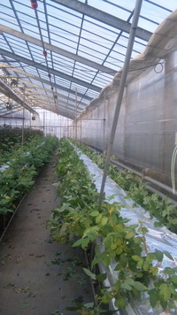 でもって2 列目 2011/02/09 16:30:54