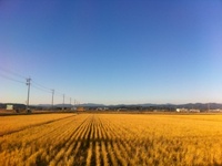 今日も晴れ♪ 2010/11/29 00:55:07