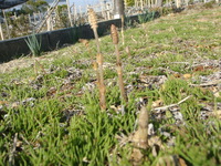 4月スケジュール 2011/03/26 10:00:00