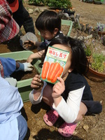 にんじん