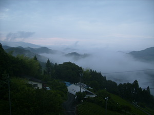 身近な絶景