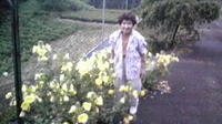 月見草 2009/06/22 04:48:26
