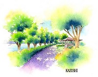佐鳴湖物語