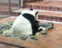 上野動物園にて