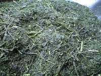 静香園の深蒸し茶