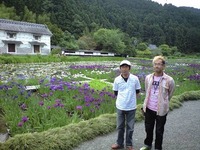 加茂花菖蒲園