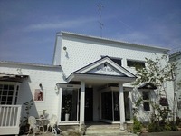 AVENUE ROADでワンちゃんのケア