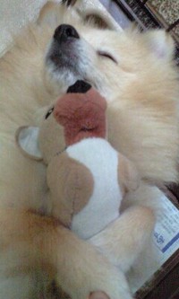 やっと復帰しました