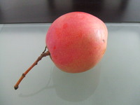 頂き物..... 2008/09/22 11:00:55