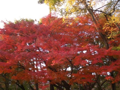 京都に行ってきました！