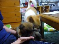 まだ、見つかりません 2009/07/23 09:15:50