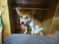 青天の霹靂？！ 2009/07/13 23:24:51