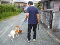 散歩好き？かなあ 2009/07/12 10:54:15