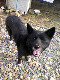 時間が経ちましたが、まだく～ちゃんいます＾＾；） 2012/05/30 12:20:01