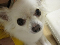 やっと、 2012/05/21 11:47:28