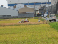 秋ですね（１） 2009/09/05 23:21:00