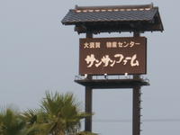 『書』 2009/06/13 20:35:19